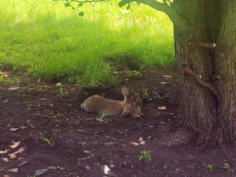 Similar image 22126630