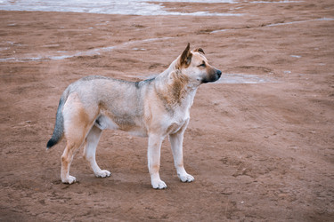 Similar image 22127113