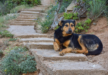 Similar image 22127114