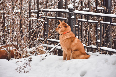 Similar image 22127115