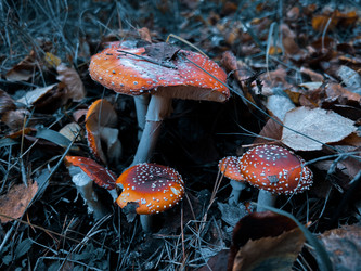 Similar image 22127136