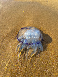 Similar image 22127142