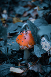 Similar image 22127146