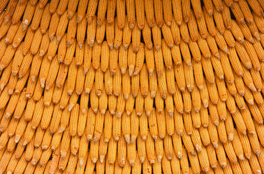 Similar image 22127153