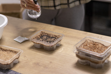 Similar image 22127163