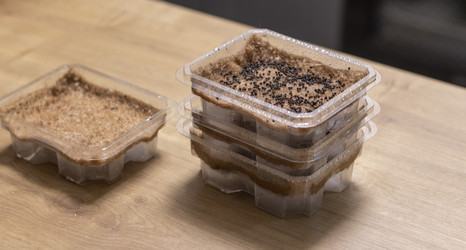 Similar image 22127164