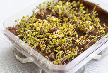 Similar image 22127168