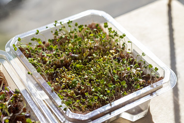 Similar image 22127170