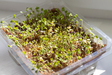 Similar image 22127171