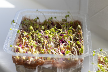 Similar image 22127172