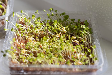 Similar image 22127173