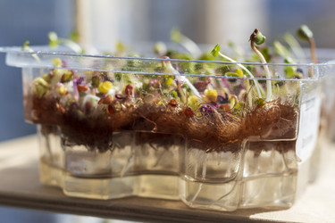 Similar image 22127174