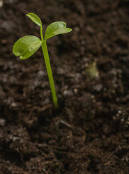 Similar image 22127175