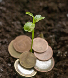 Similar image 22127176