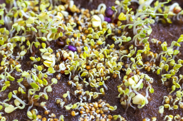 Similar image 22127183