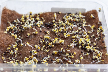 Similar image 22127184