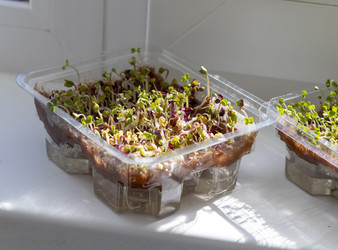 Similar image 22127187