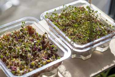 Similar image 22127188