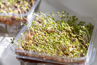 Similar image 22127189