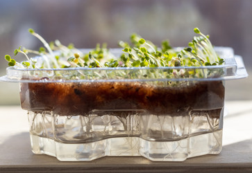 Similar image 22127191