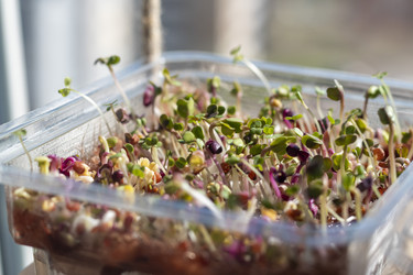 Similar image 22127193