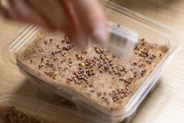 Similar image 22127205