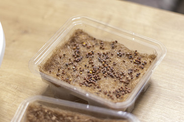 Similar image 22127207