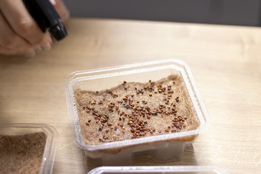 Similar image 22127208