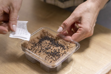 Similar image 22127209