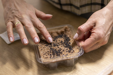 Similar image 22127210