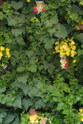 Similar image 22127571