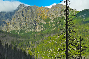 Similar image 22127579