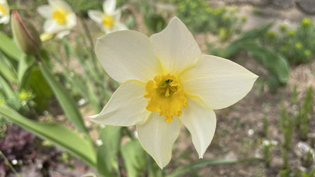 Similar image 22127229