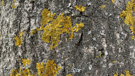 Similar image 22127230