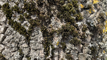 Similar image 22127231