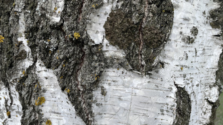 Similar image 22127233