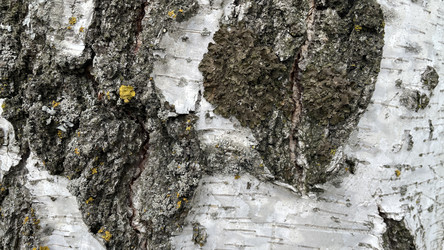 Similar image 22127234