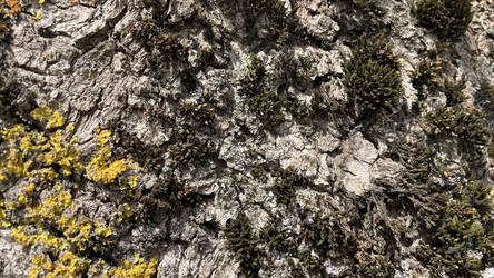 Similar image 22127235