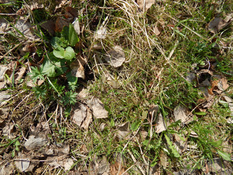 Similar image 22127240