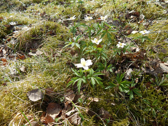 Similar image 22127241