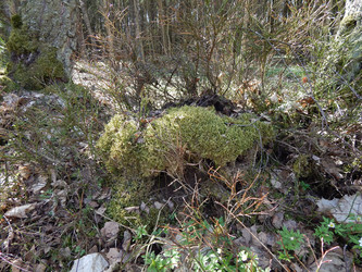 Similar image 22127242