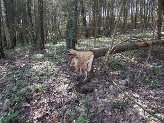 Similar image 22127244