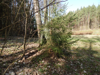 Similar image 22127245