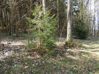 Similar image 22127246