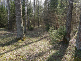 Similar image 22127247