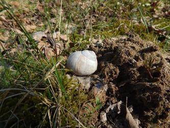 Similar image 22127248