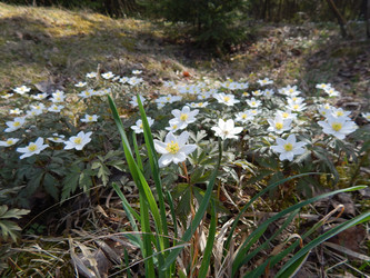 Similar image 22127250