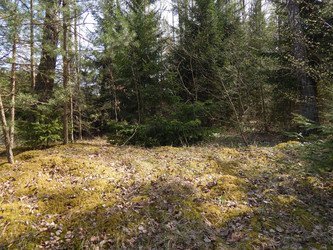 Similar image 22127251