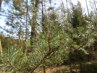 Similar image 22127252