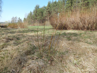 Similar image 22127253